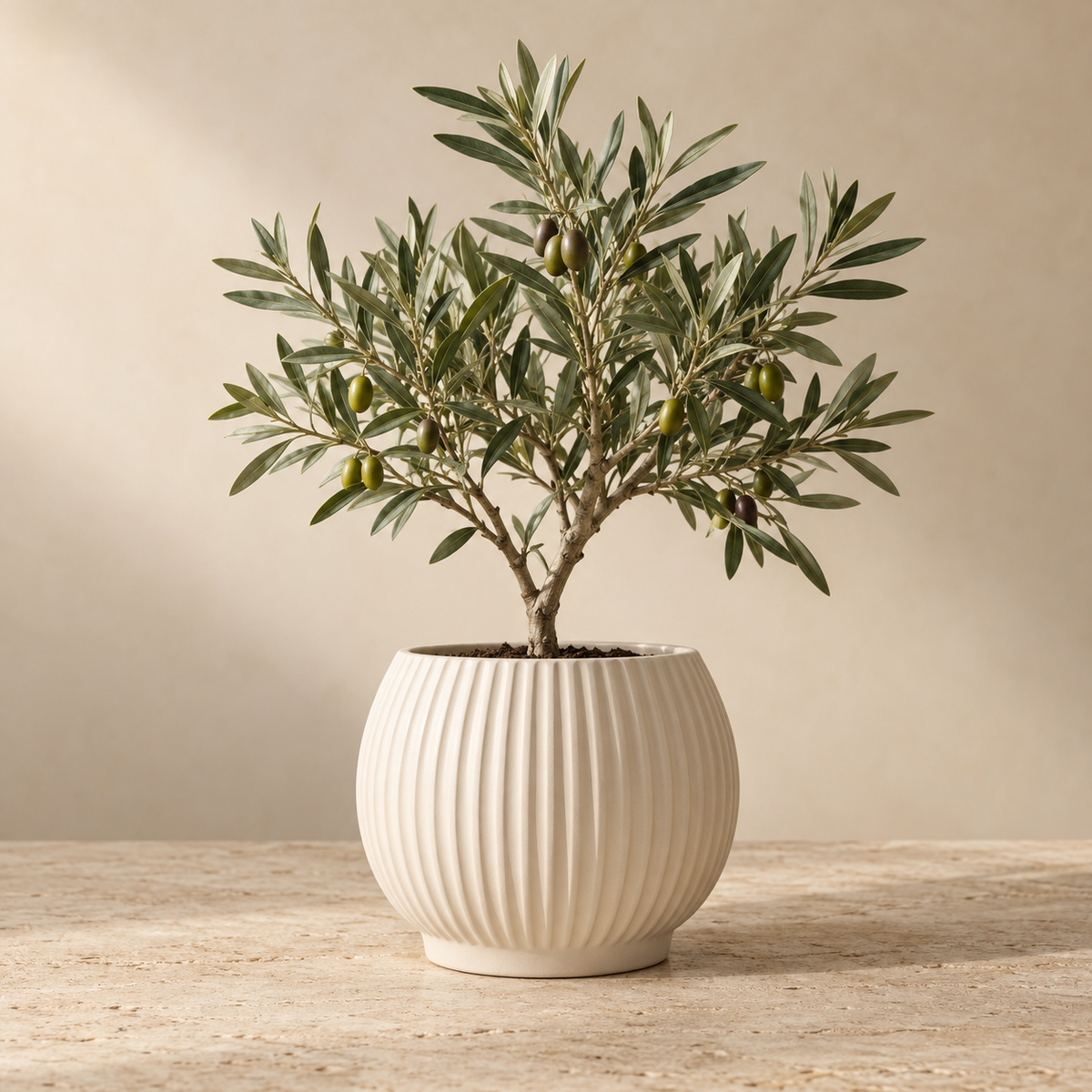 Ceramic Planter Pot